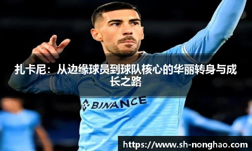 扎卡尼:从边缘球员到球队核心的华丽转身与成长之路